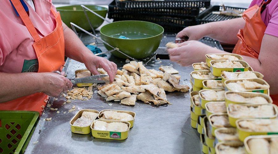 Mãos arrumando postas de peixe nas latas, uma a uma, sobre a bancada de inox