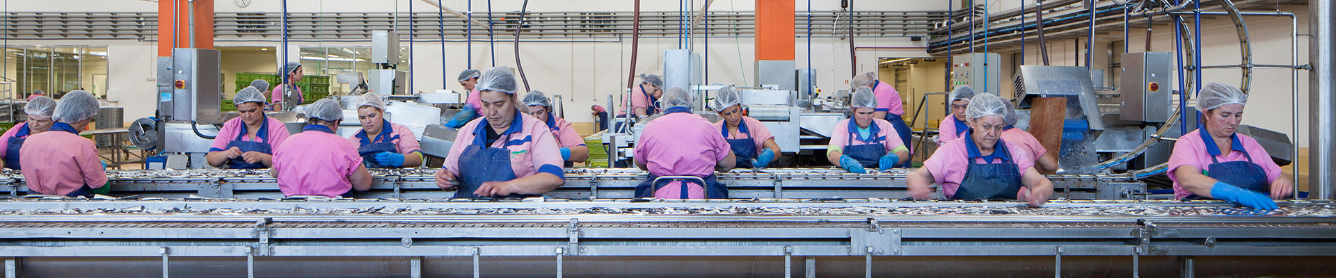 Linha de produção da Ramirez, com operárias de touca e avental preparando o peixe ao longo da esteira