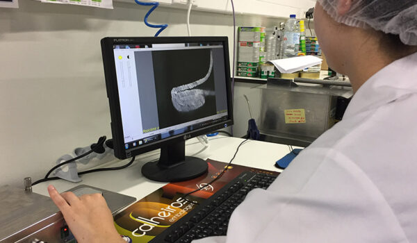Técnica analisa no monitor o corte do fechamento de uma lata, no laboratório de controle de qualidade